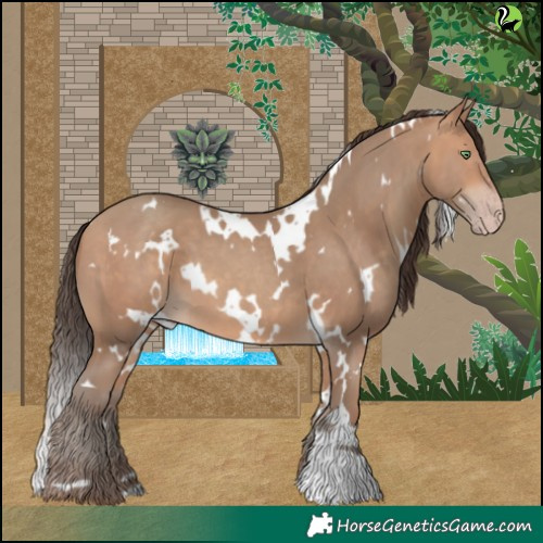 Horse Color:White Spotted Amber Champagne 