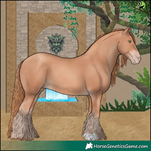 Horse Color:Gold Champagne 