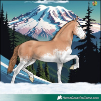 Horse Color:White Spotted Gold Champagne 