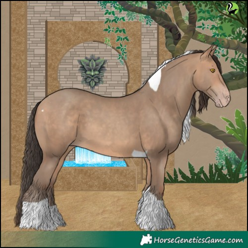 Horse Color:Amber Champagne Tobiano