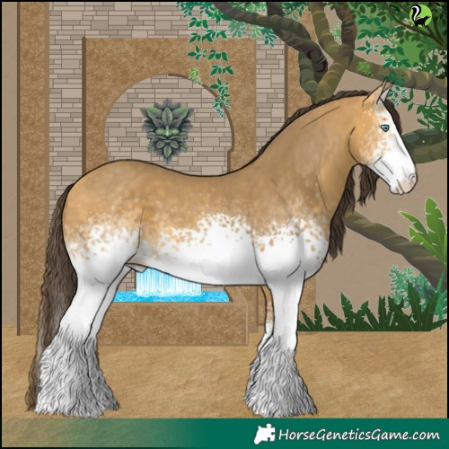 Horse Color:White Spotted Amber Cream Champagne 