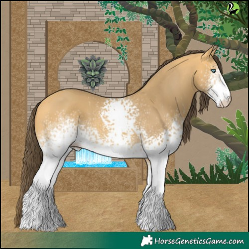 Horse Color:White Spotted Amber Cream Champagne