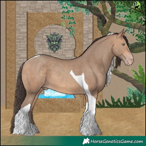 Horse Color:Amber Champagne Tobiano 