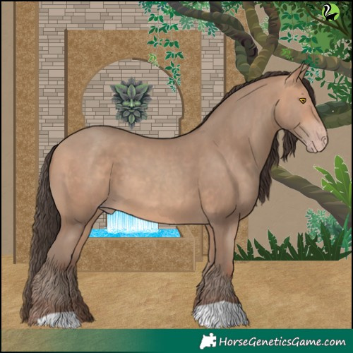 Horse Color:Amber Champagne 