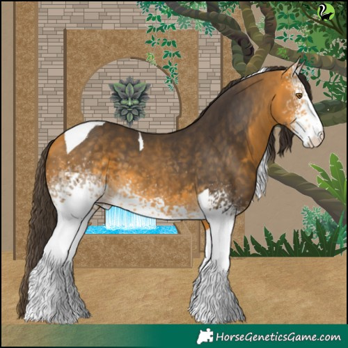 Horse Color:White Spotted Buckskin Tobiano 