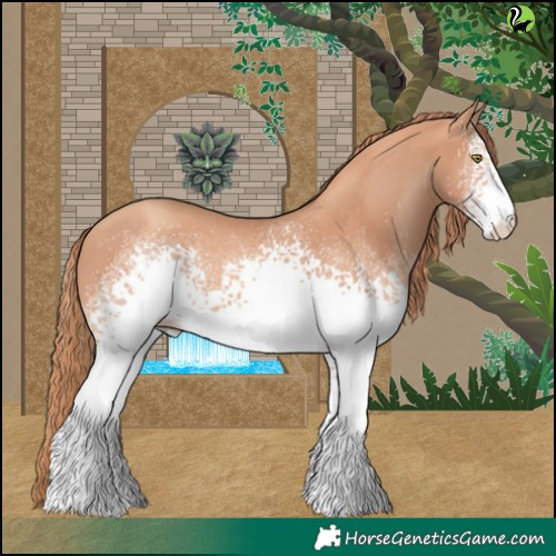 Horse Color:White Spotted Gold Champagne Rabicano 