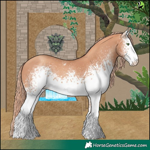 Horse Color:White Spotted Gold Champagne 
