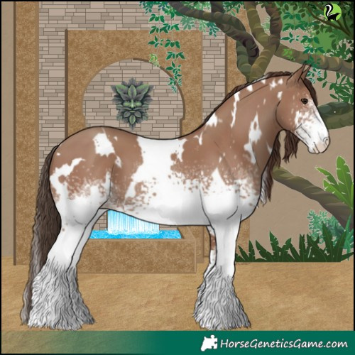 Horse Color:White Spotted Classic Champagne 