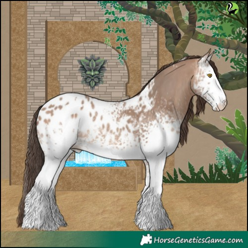 Horse Color:White Spotted Amber Champagne Appaloosa 