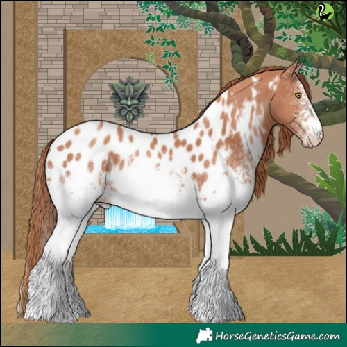 Horse Color:White Spotted Gold Champagne Appaloosa