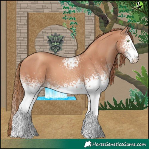 Horse Color:White Spotted Gold Champagne 
