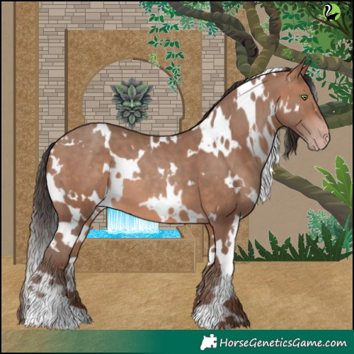 Horse Color:White Spotted Sable Champagne 