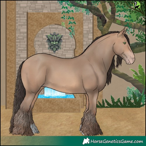 Horse Color:Amber Champagne 