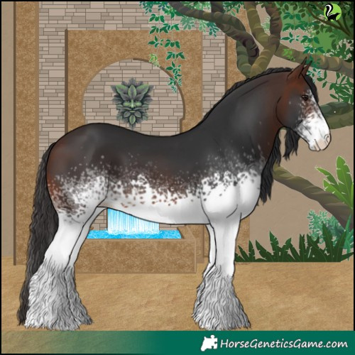 Horse Color:White Spotted Brown 