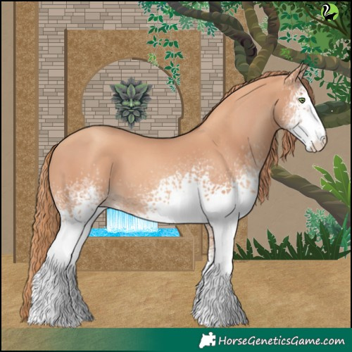 Horse Color:White Spotted Gold Champagne 