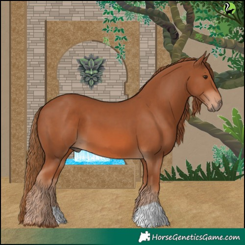 Horse Color:Chestnut 