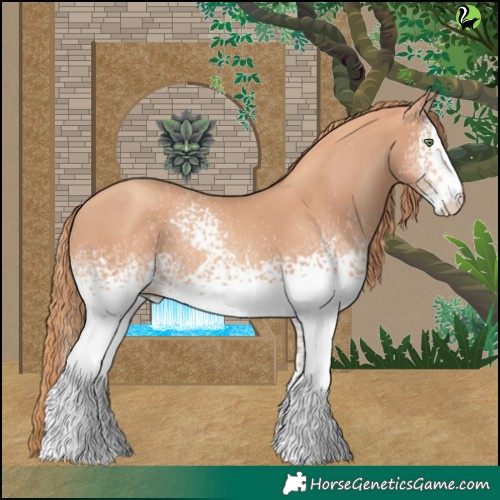 Horse Color:White Spotted Gold Champagne 