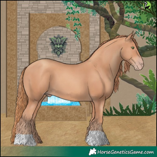 Horse Color:Gold Champagne 
