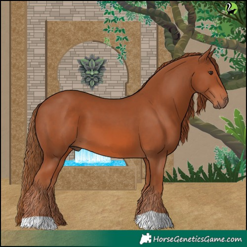 Horse Color:Chestnut 