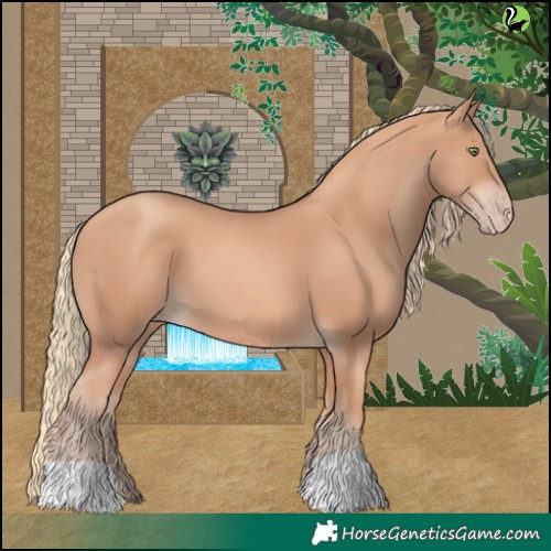 Horse Color:Gold Champagne 