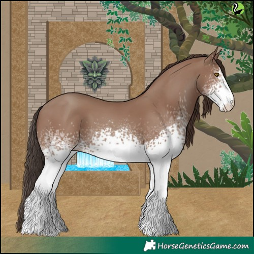 Horse Color:White Spotted Classic Champagne