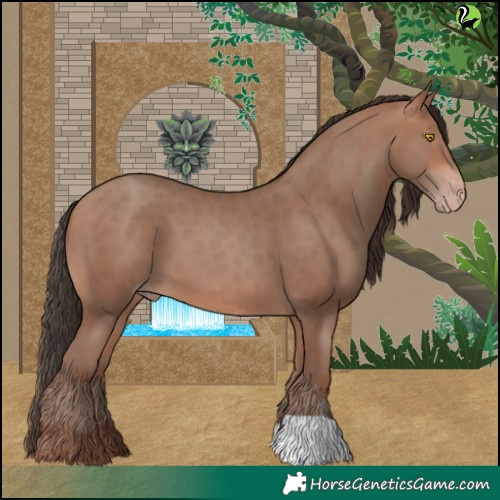 Horse Color:Sable Champagne 