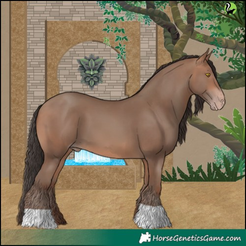 Horse Color:Sable Champagne 
