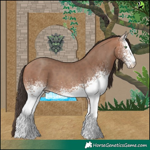 Horse Color:White Spotted Amber Champagne 