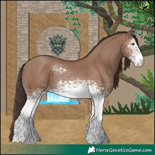 Horse Color:White Spotted Classic Champagne 