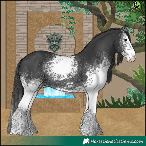 Horse Color:White Spotted Black 