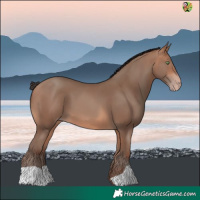 Horse Color:Amber Champagne
