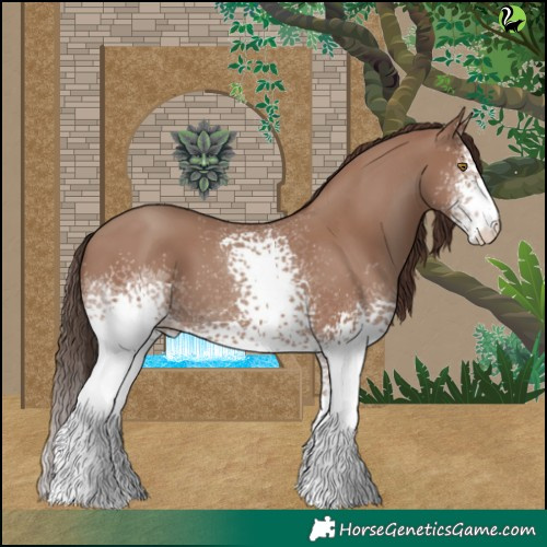 Horse Color:White Spotted Classic Champagne 