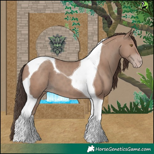 Horse Color:Classic Champagne Tobiano 