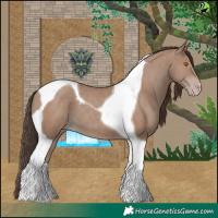 Horse Color:Classic Champagne Tobiano