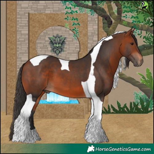 Horse Color:Bay Tobiano 