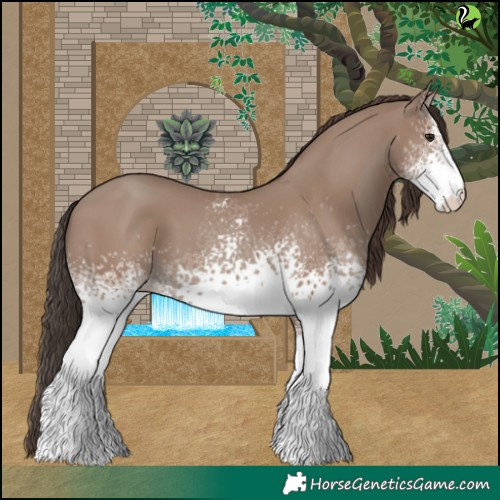 Horse Color:White Spotted Classic Champagne 