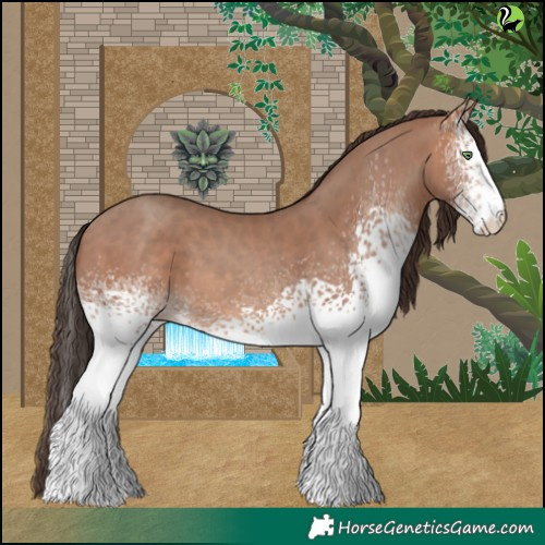 Horse Color:White Spotted Sable Champagne 