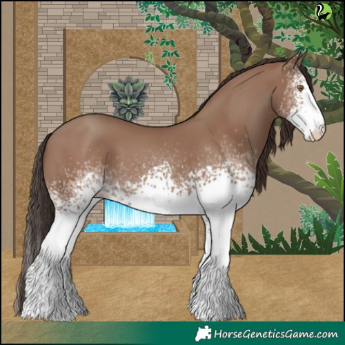Horse Color:White Spotted Classic Champagne 