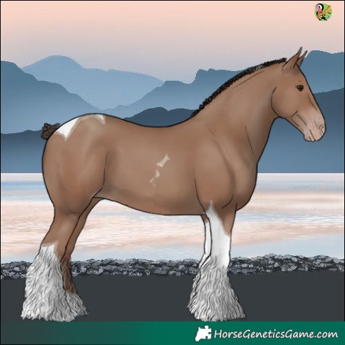 Horse Color:Classic Champagne Tobiano 