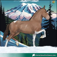 Horse Color:Classic Champagne Tobiano