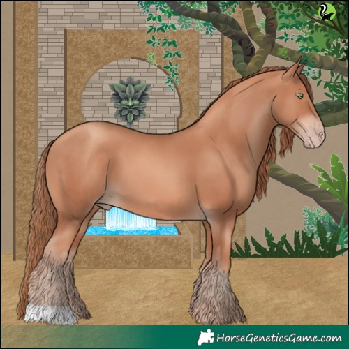 Horse Color:Gold Champagne 