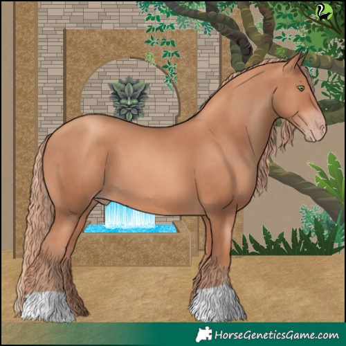 Horse Color:Gold Champagne 