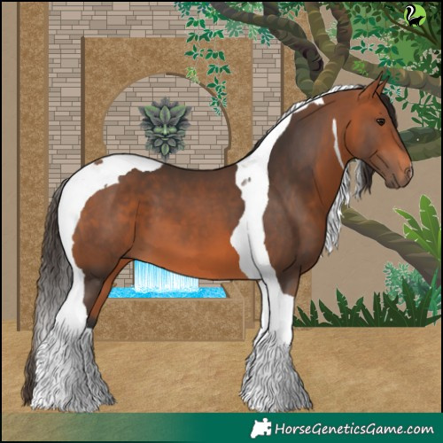 Horse Color:Bay Tobiano