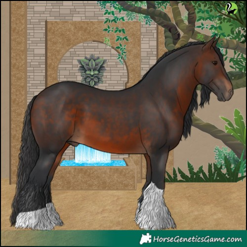 Horse Color:Brown Tobiano 