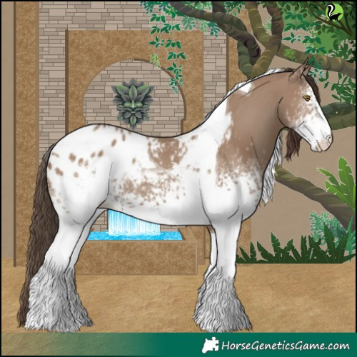 Horse Color:White Spotted Classic Champagne Tobiano Appaloosa 