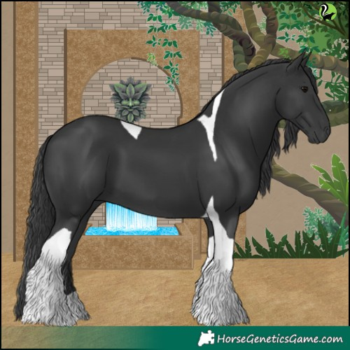 Horse Color:Black Tobiano 
