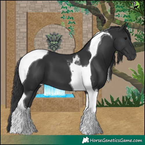 Horse Color:Black Tobiano 