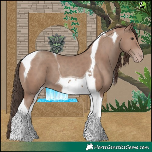Horse Color:Classic Champagne Tobiano 