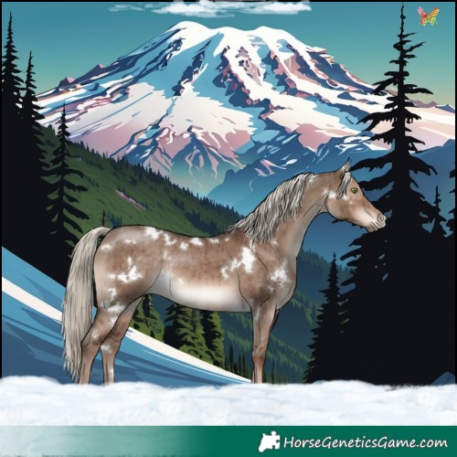 Horse Color:White Spotted Liver Red Dun Mushroom Rabicano Brindle 