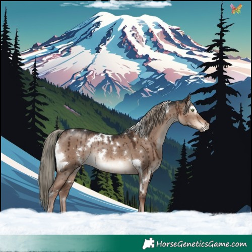 Horse Color:White Spotted Liver Red Dun Mushroom Rabicano Brindle 